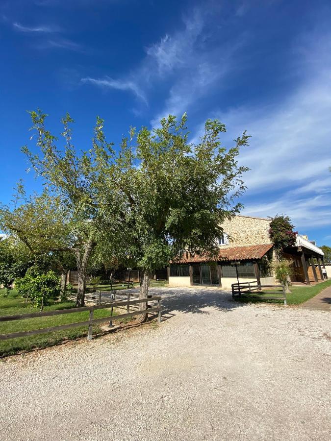 Studio 2 Personnes Vue Marais Salant Parking Et Terrasse Proche Commodite Hyères Exterior foto